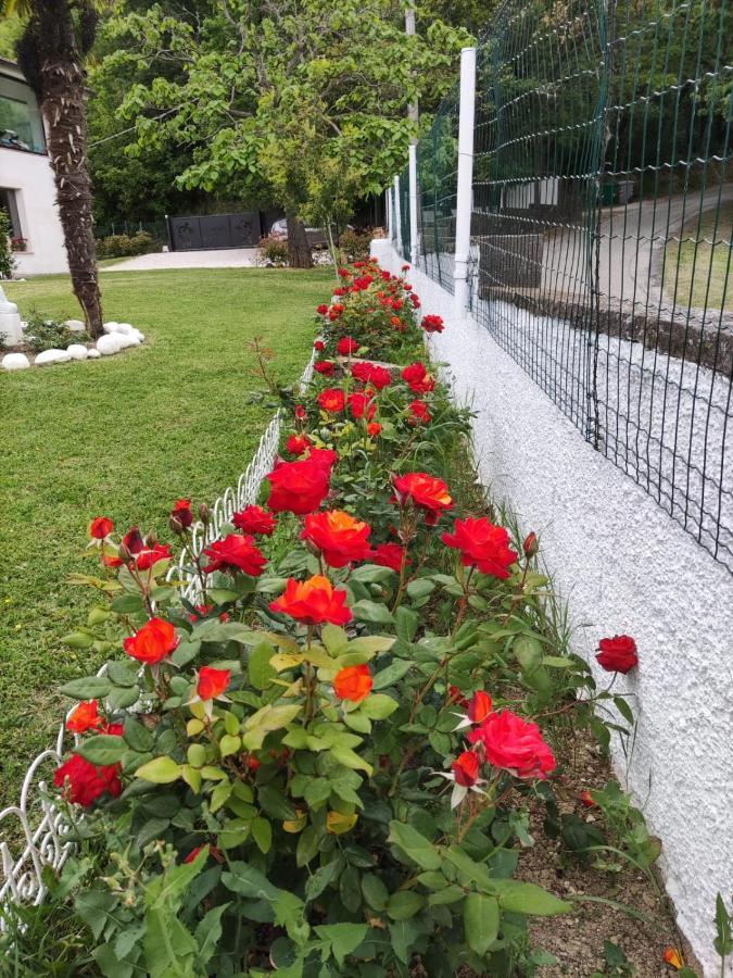 "Cara Pace" In Collina Per Famiglie Panzió Montefiore Conca Kültér fotó